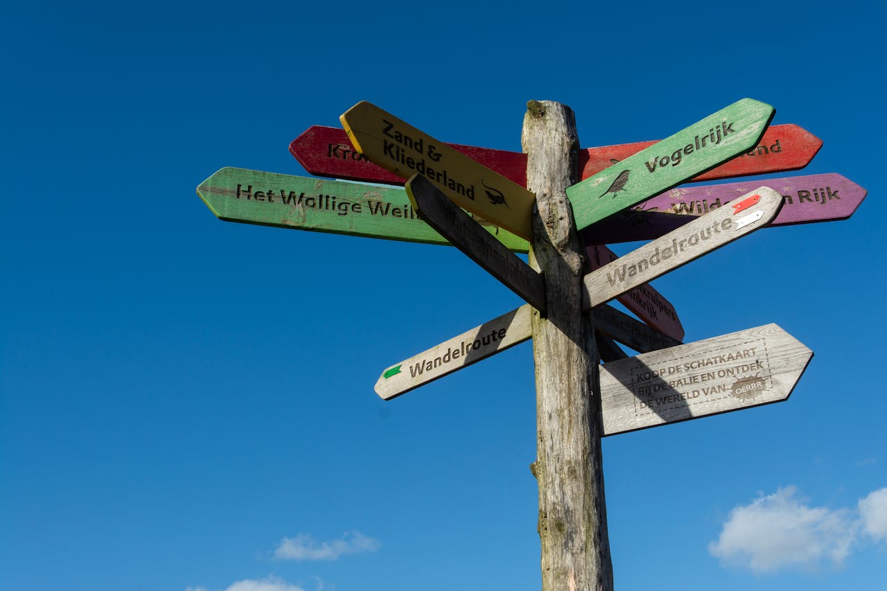 about-01 A vibrant wooden signpost with multiple directions against a clear blue sky.